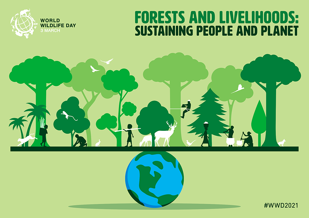 50949219976_ed4fe2ebcd_6k